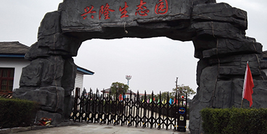 長沙興隆生態園 6.8米